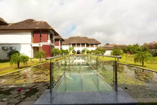 Photo of The Definitive Ranki