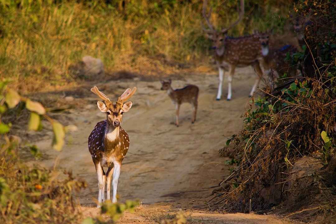 वीकेंड की तैयारी: बिना जेब ढीली किए, इन जगहों पर बिताएँ छुट्टी