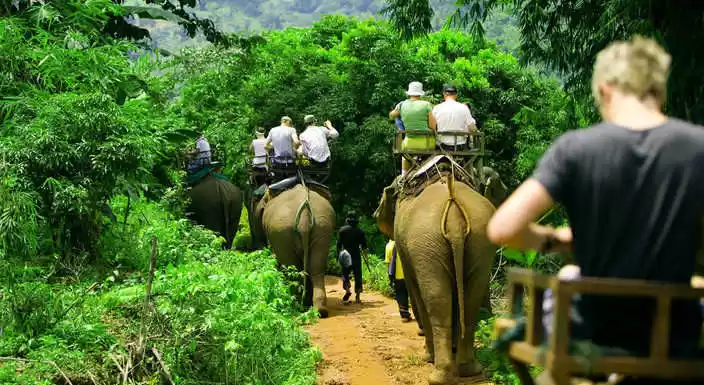 Photo of जिम कॉर्बेट: वीकेंड