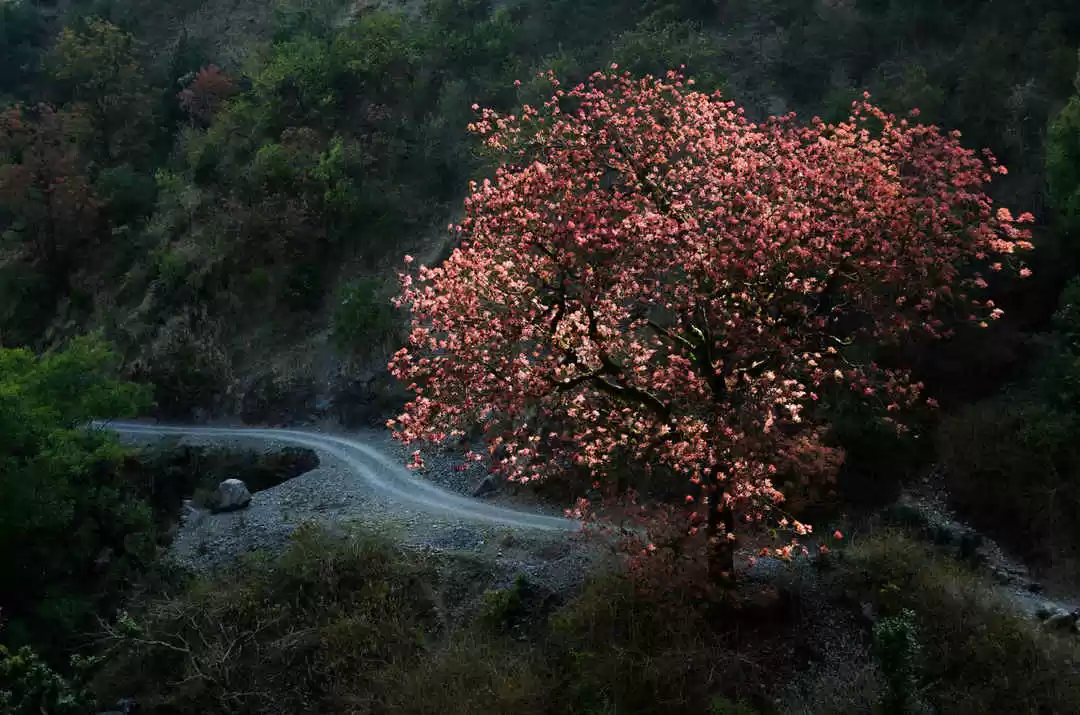 Photo of 10 दिन, 10 शहर: उत्त