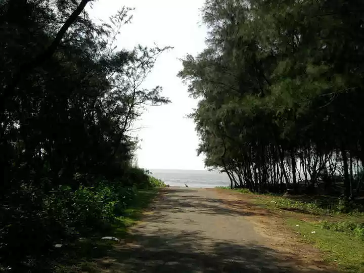 Photo of लहरों के बीच वक्त बि