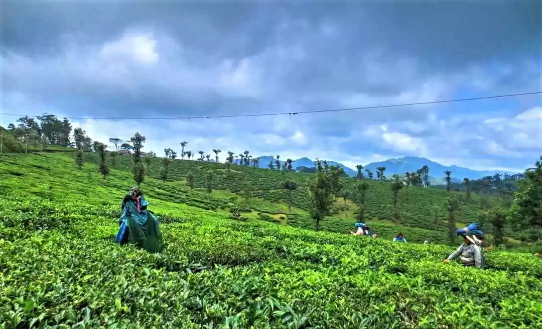 Photo of सारे हिल स्टेशन देख 