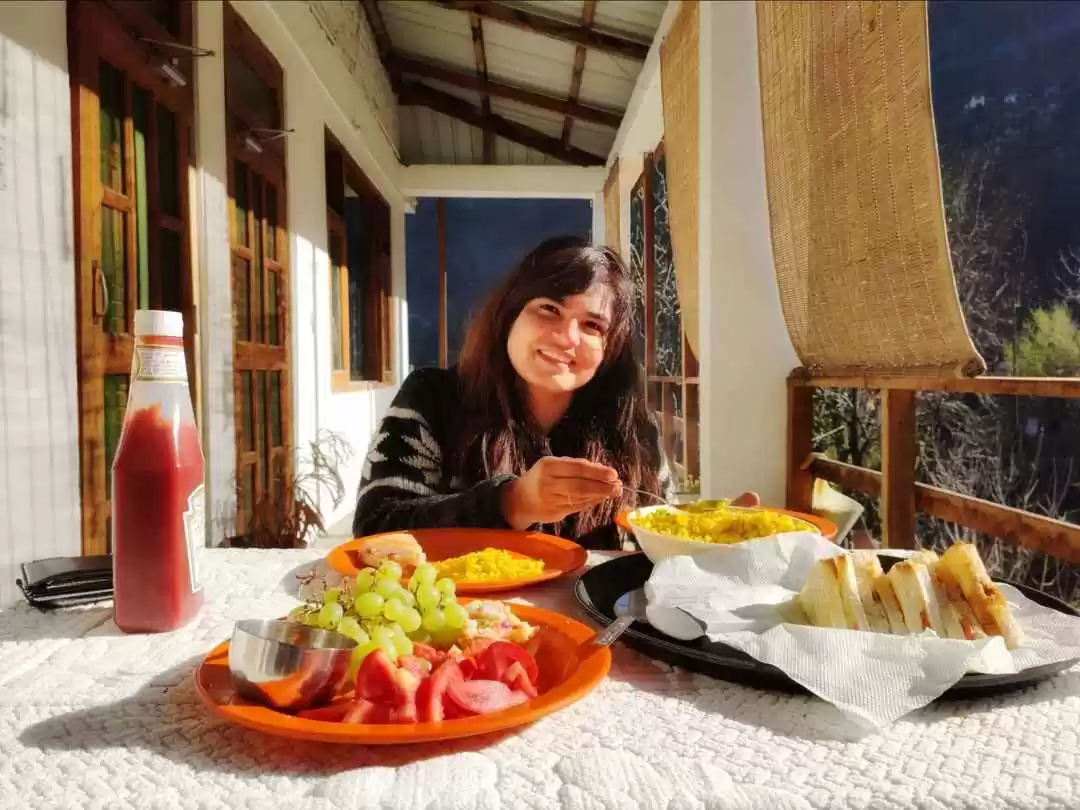 Photo of Jibhi travel guide