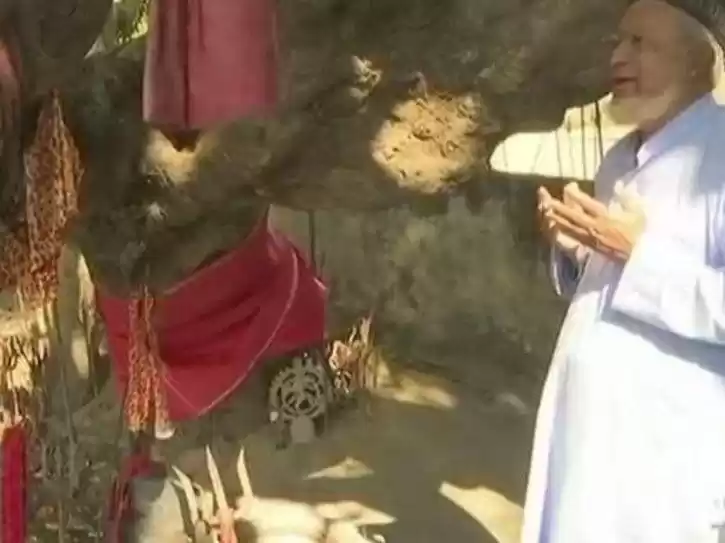 Photo of धार्मिक एकता की मिसा