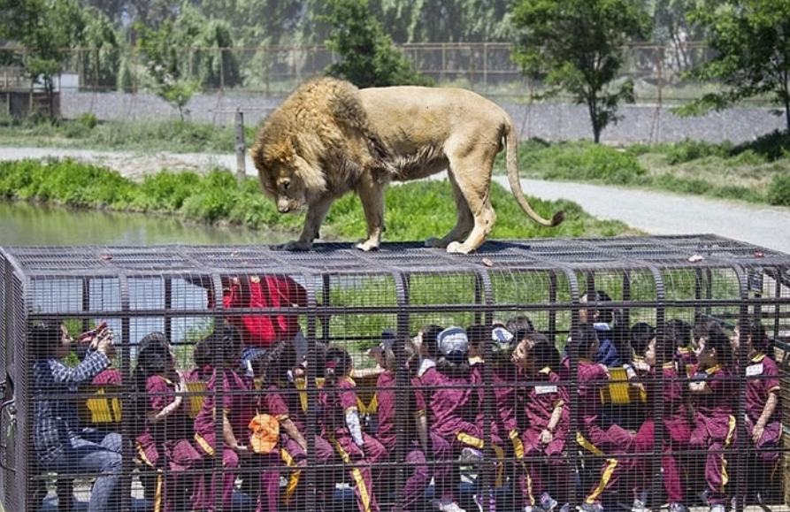 Photo of अनोखा चिड़ियाघर जहाँ