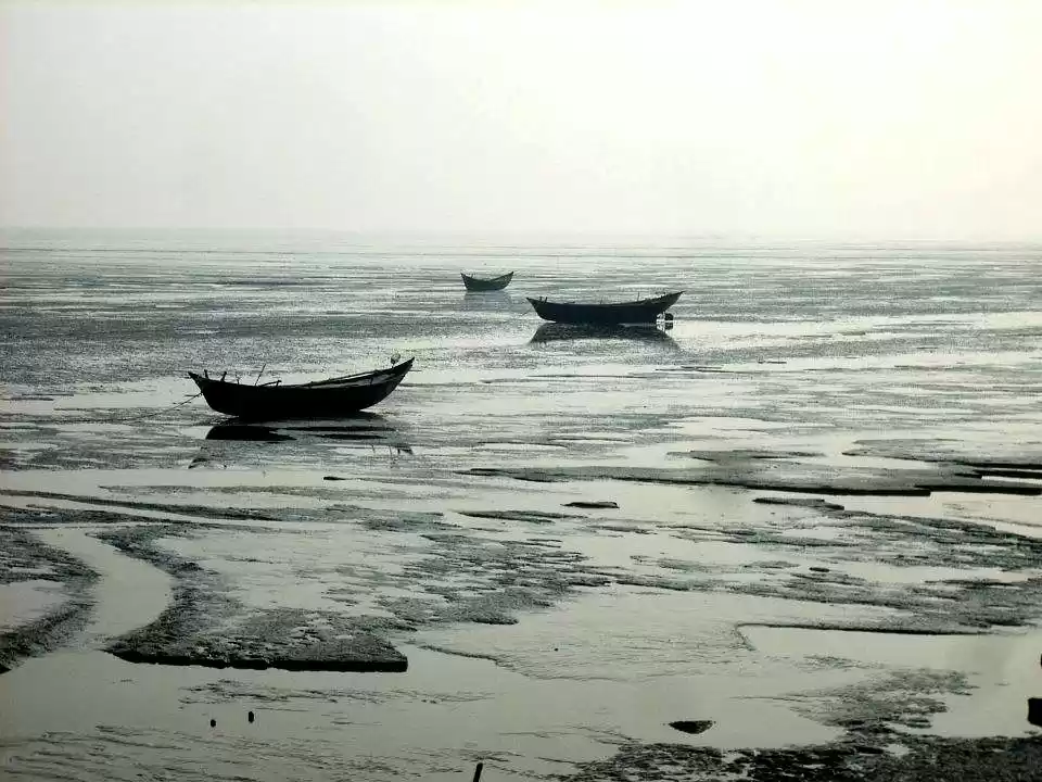 Photo of चाँदीपुर बीच, जहाँ ग