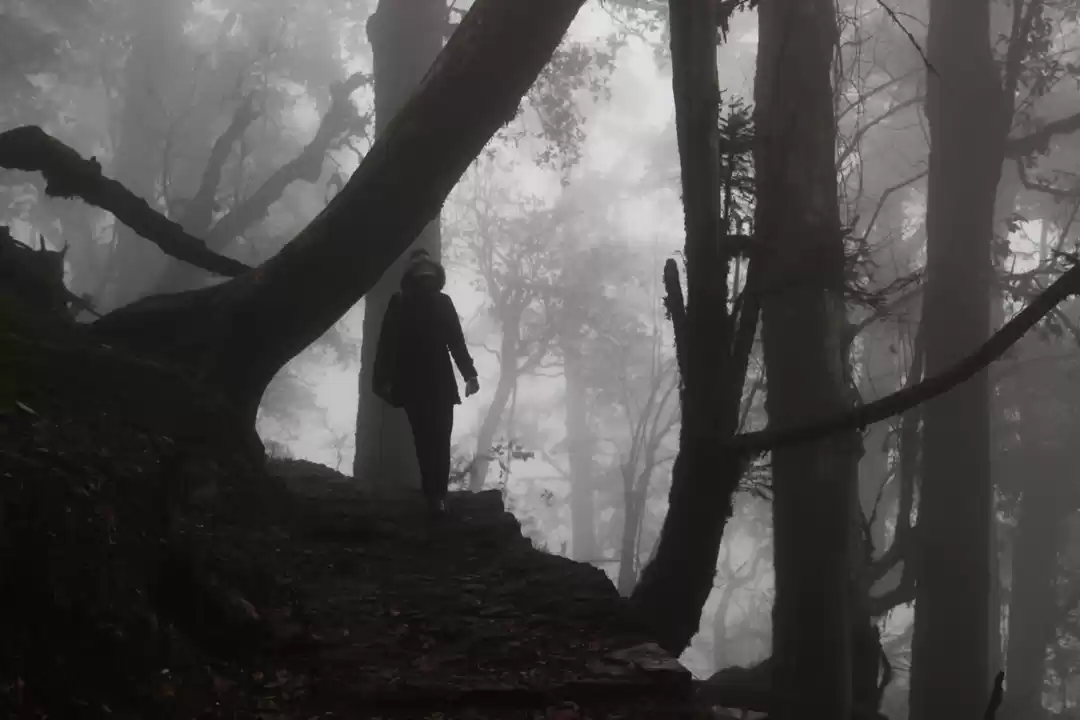 Photo of भारत की 7 मशहूर जगहो