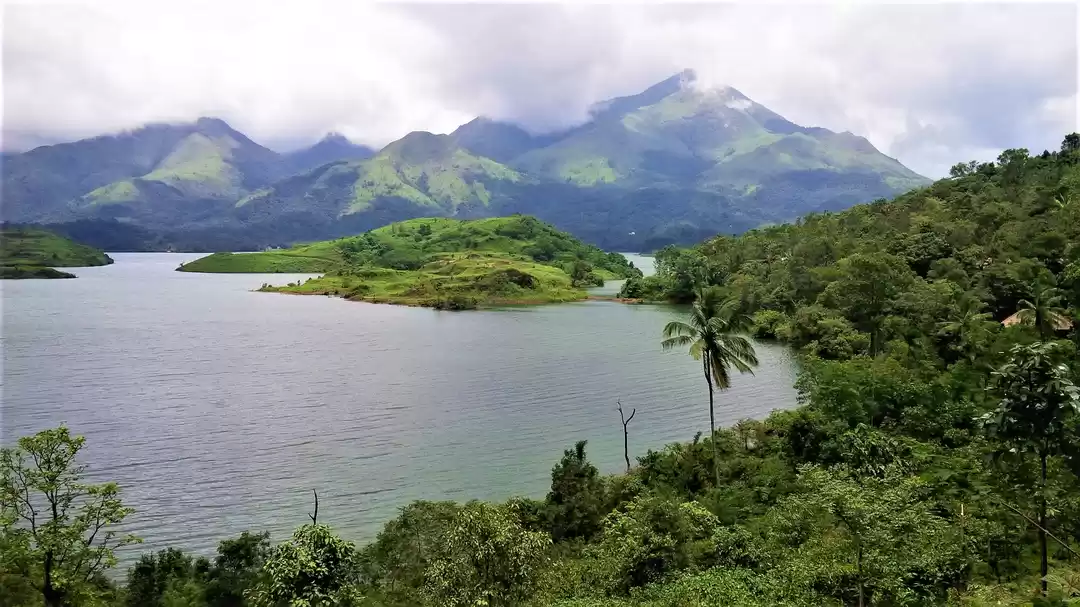 Photo of वायनाड: प्रकृति का व