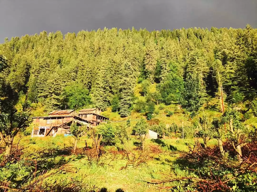 Photo of कल्गा-पुल्गा: हिमाचल