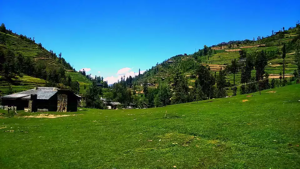 Photo of हिमाचल के हरे जंगलों