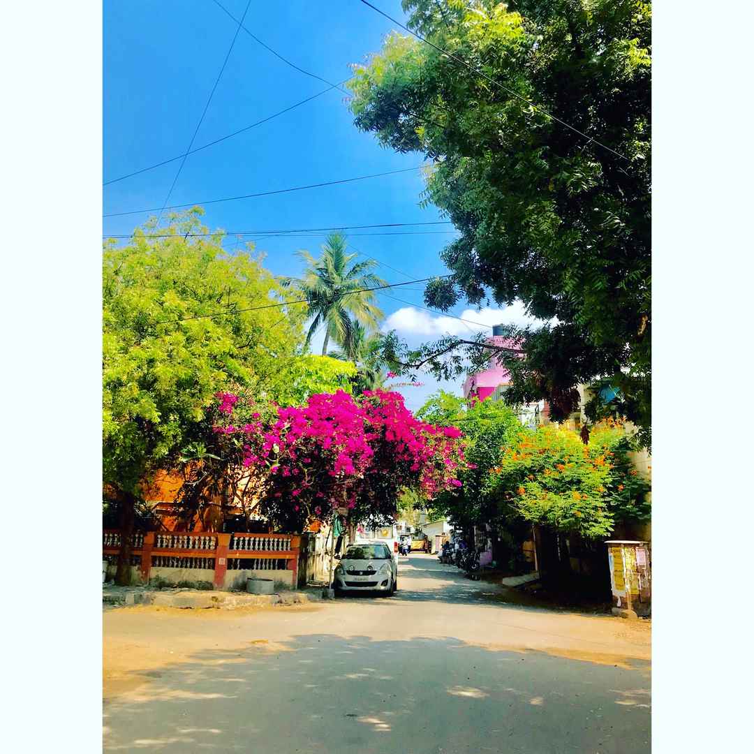 Top Things To Do In Chennai In One Day Nammachennai From The Lens Of Mumbaikar Tripoto Top Things To Do In Chennai In One Day Nammachennai From The Lens Of Mumbaikar Tripoto