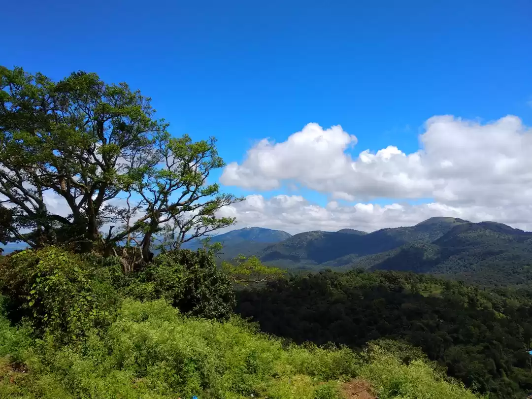 Photo of BR Hills, Karnataka 