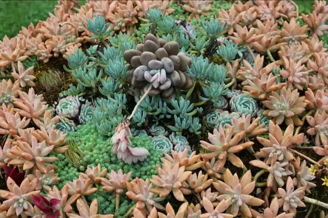 Photo of Where peace meets be