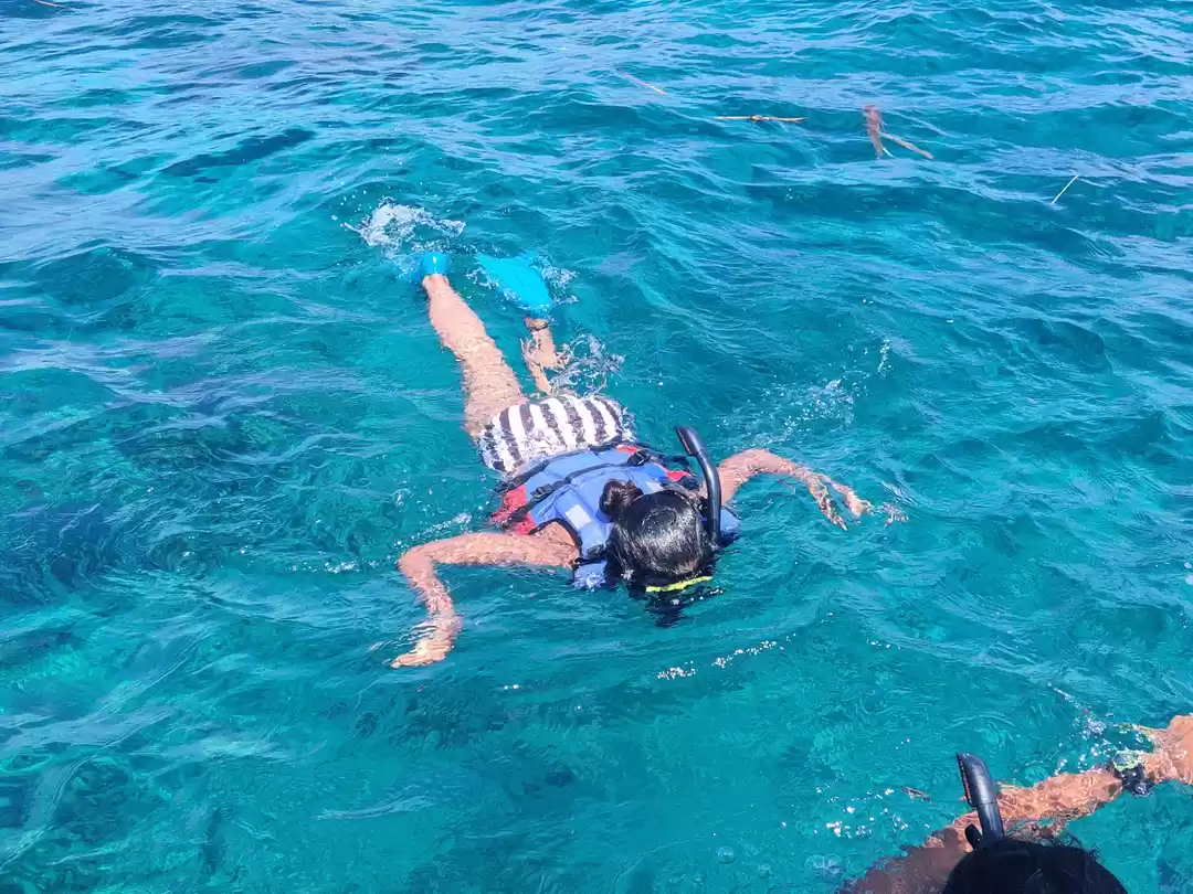 Photo of Snorkeling at Gili i