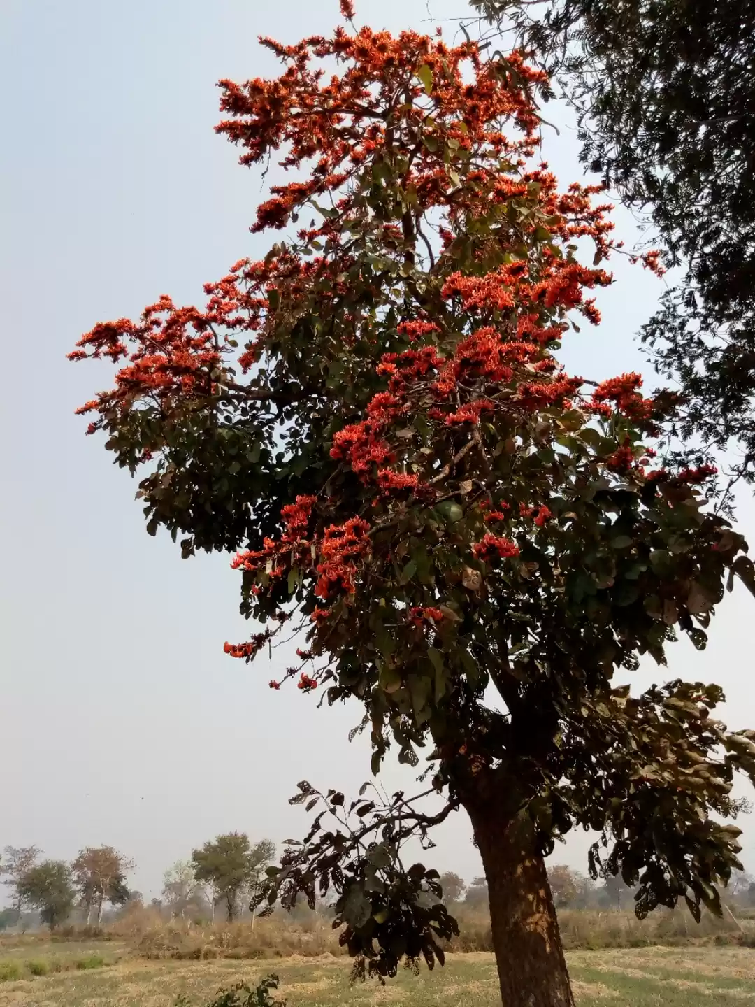 Photo of Explore Kanger