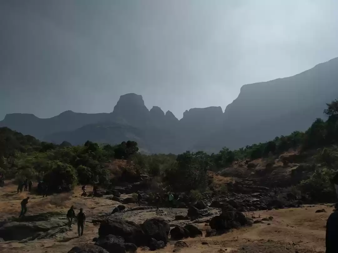 Photo of ALANG-MADAN-KULANG: