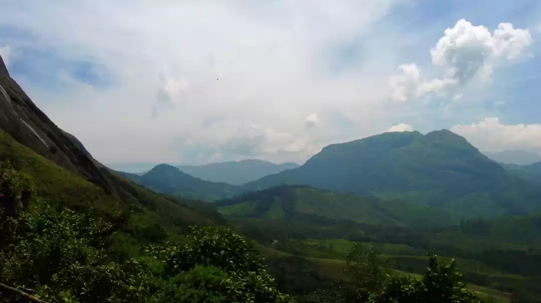 Photo of Munnar - Lush Green 