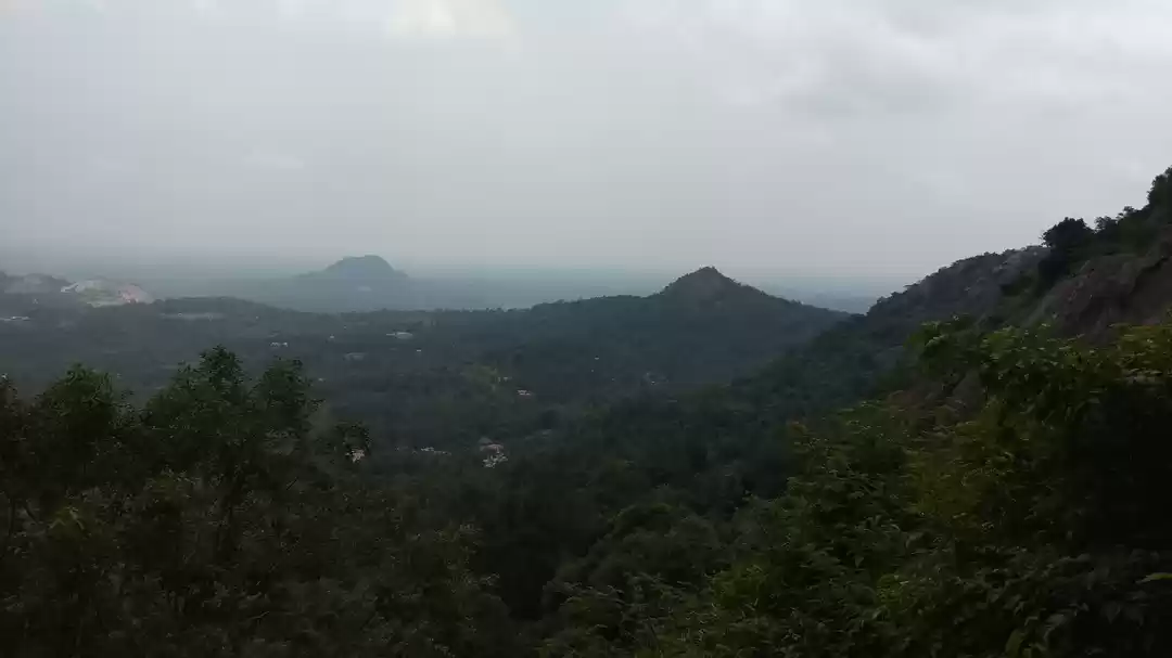 Photo of Wayanad - Edakkal Ca