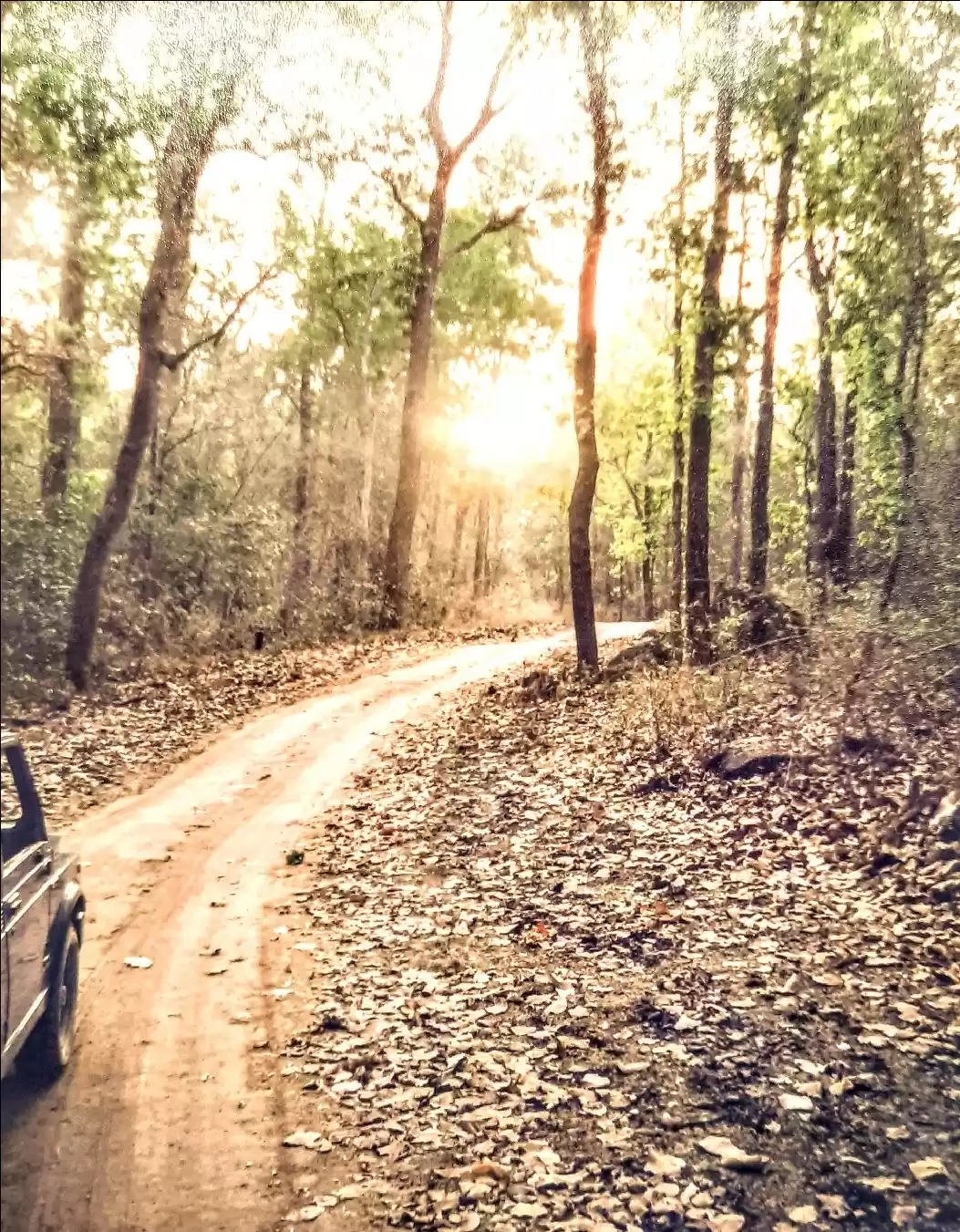 Photo of The Wilderness Kanha
