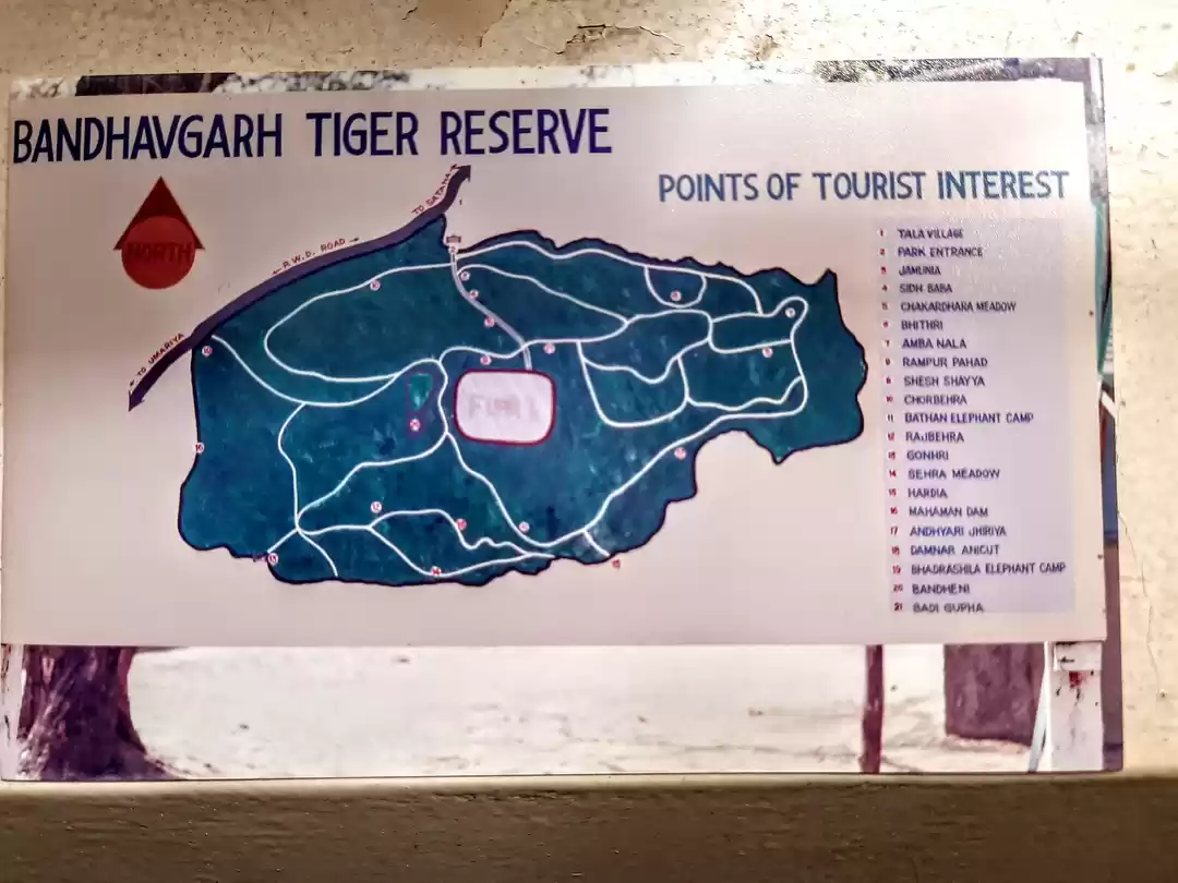 Photo of Bandhavgarh Land of 