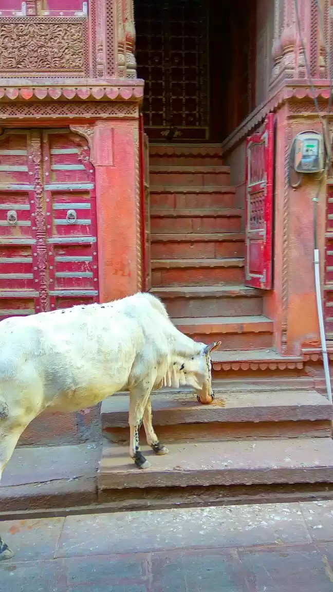 Photo of Magnificent Havelis 