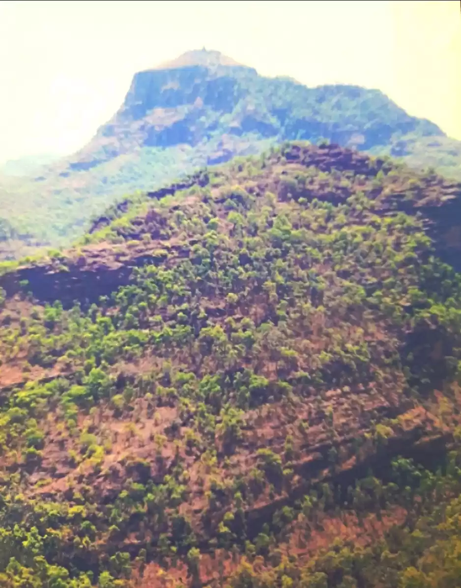 Photo of Queen of the Satpura