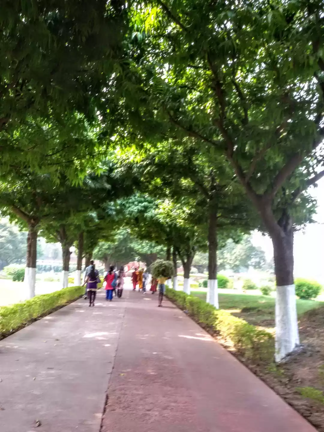 Photo of The Ancient Seat of 