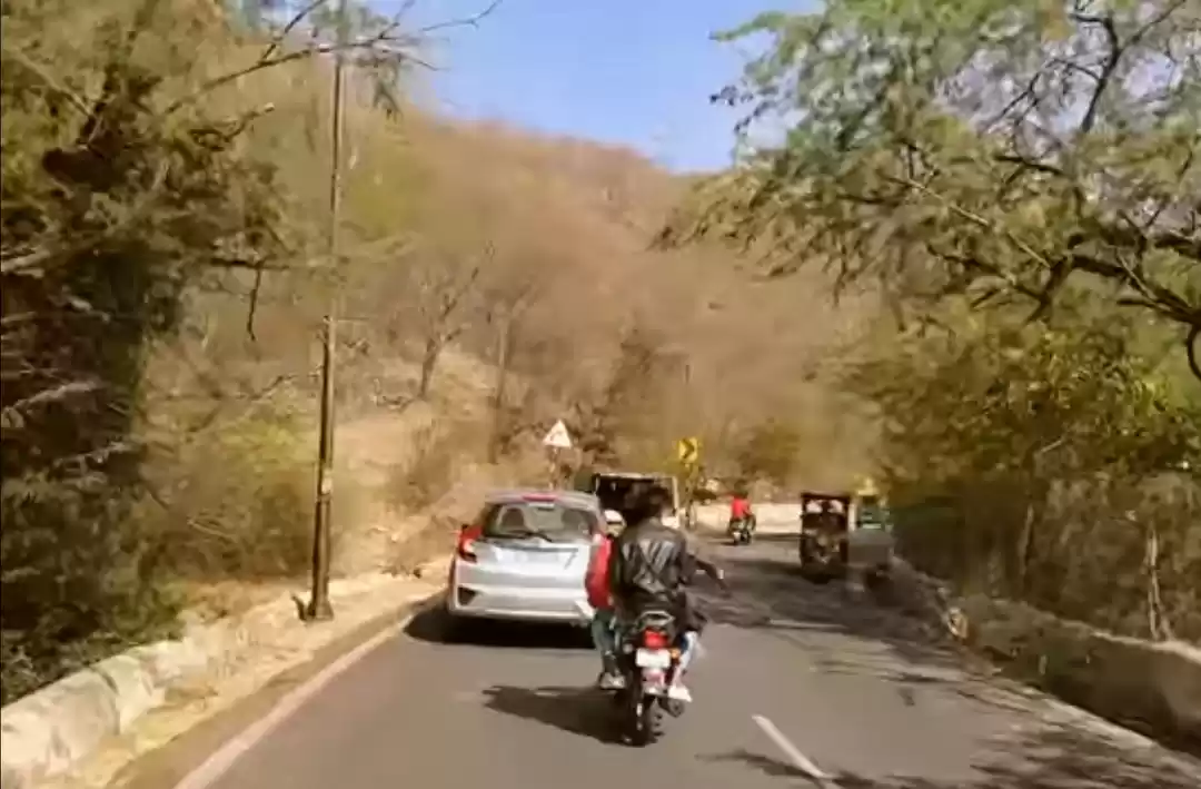 Photo of Magnificence!!