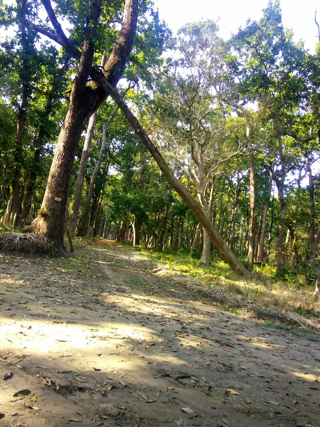 Photo of Wonderful Kishanpur 
