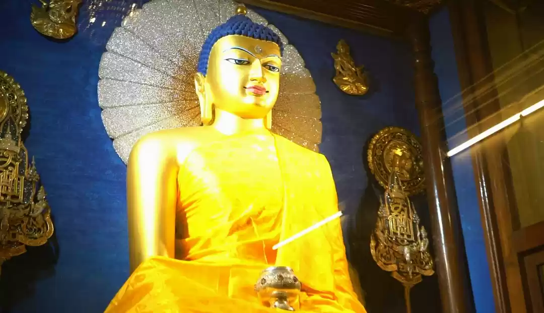 Photo of The City of Enlighte