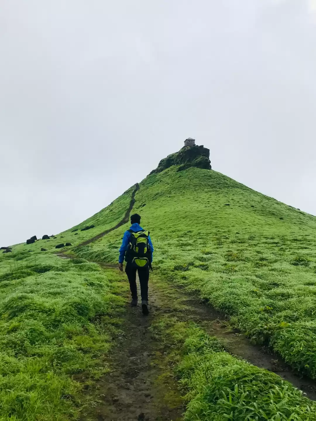 Photo of King of the forts Of