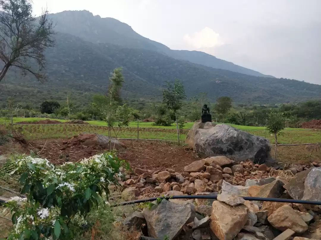 Photo of Small Trip to 'Littl