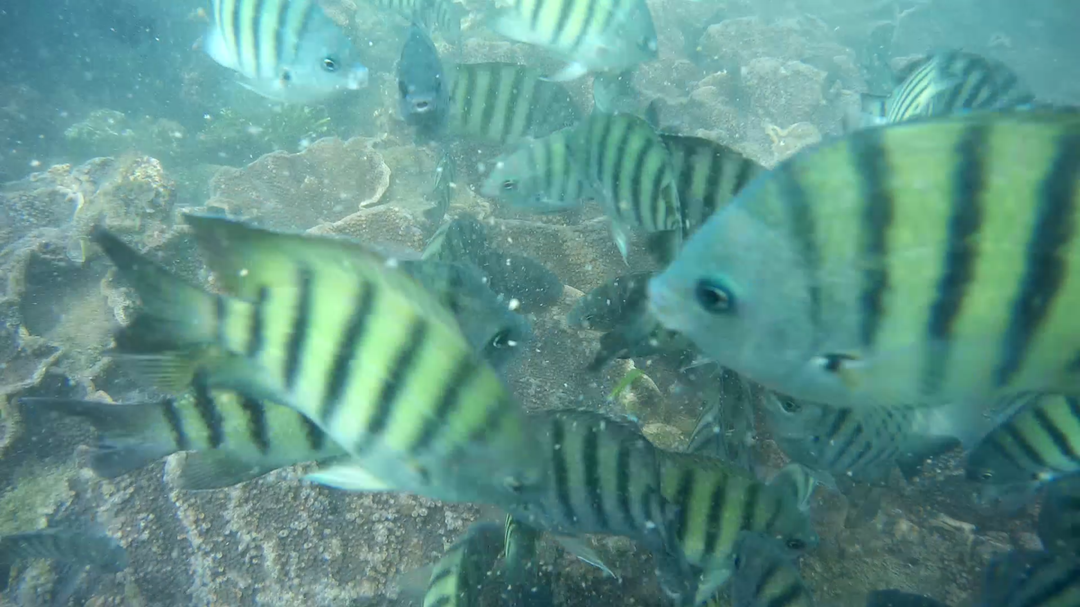 Photo of Experience adrenalin