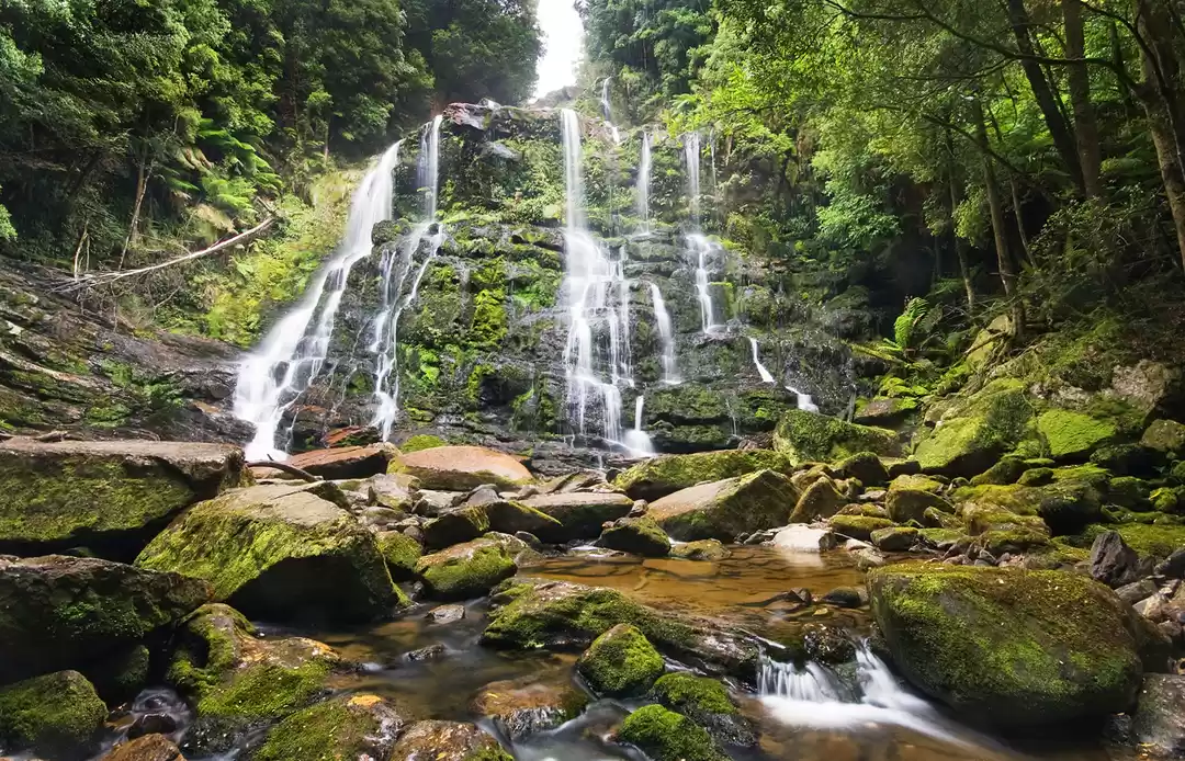 Photo of Tasmania - Experienc
