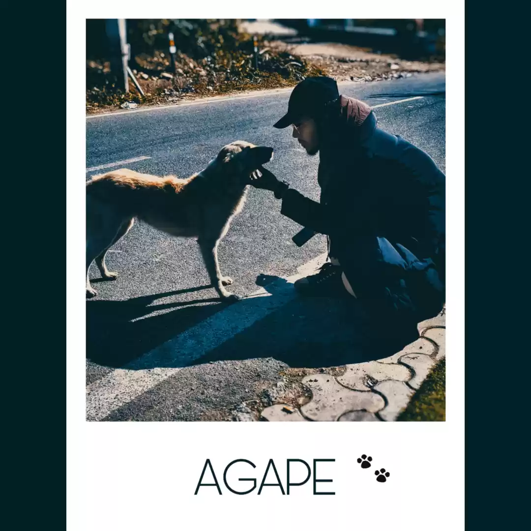 Photo of Solo or follow , DHA