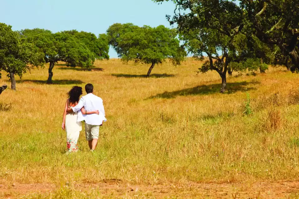 Photo of Newly Married? Visit