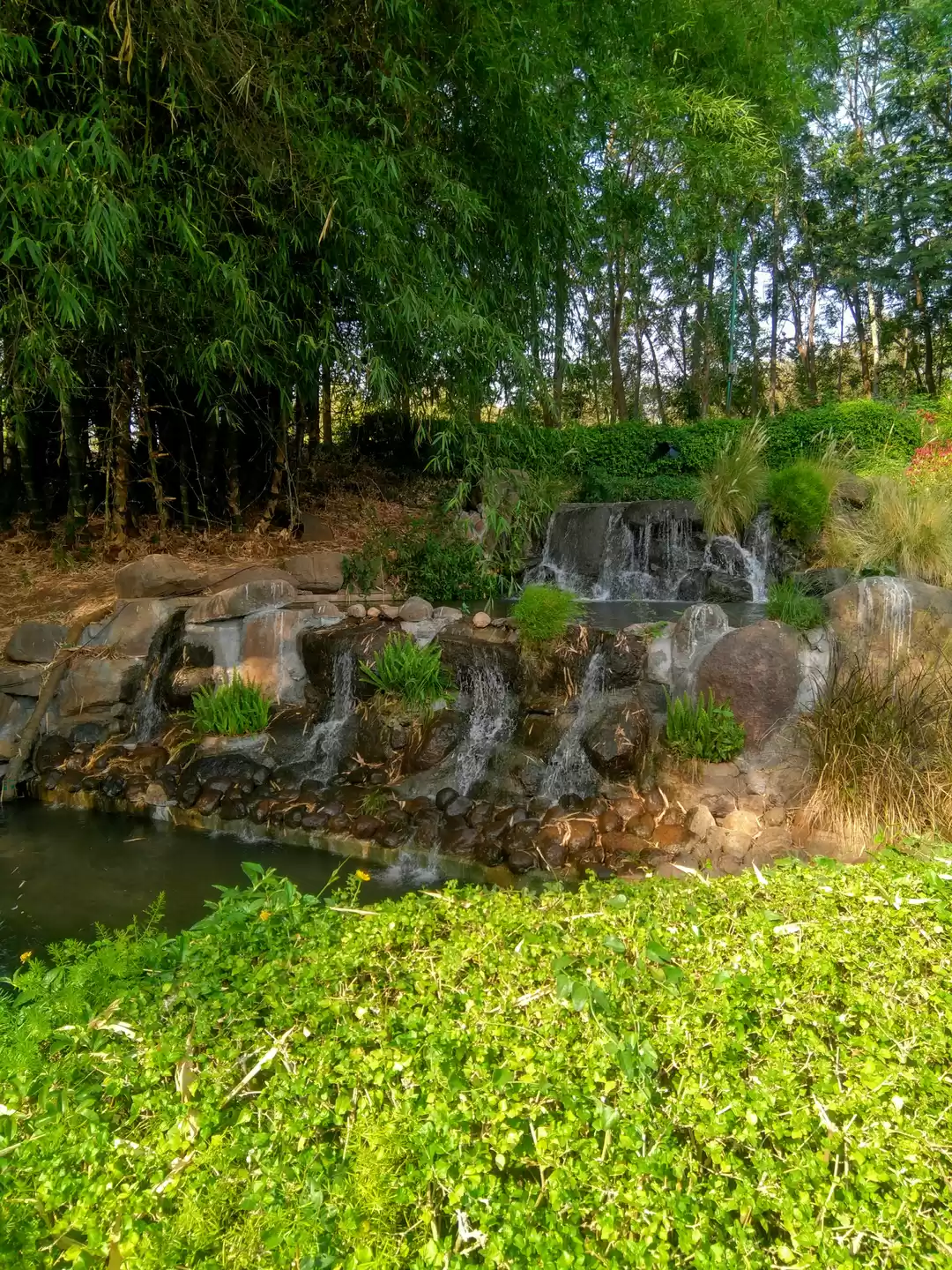 Photo of Okayama Friendship g