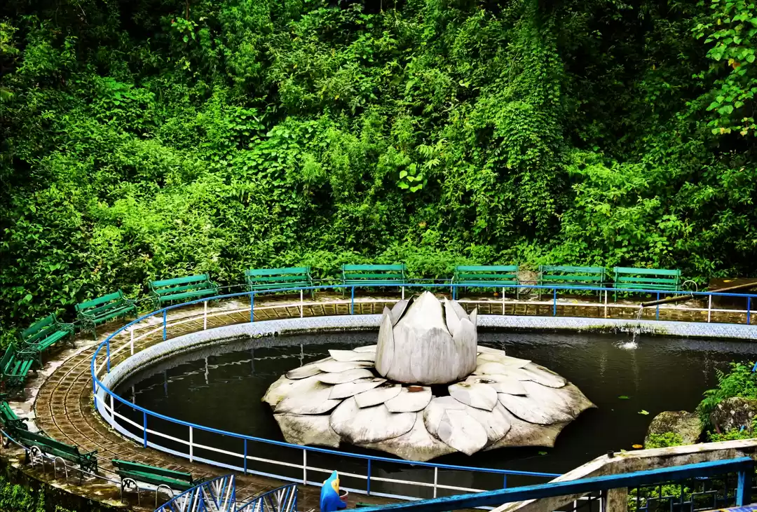 Photo of Darjeeling Rock Gard