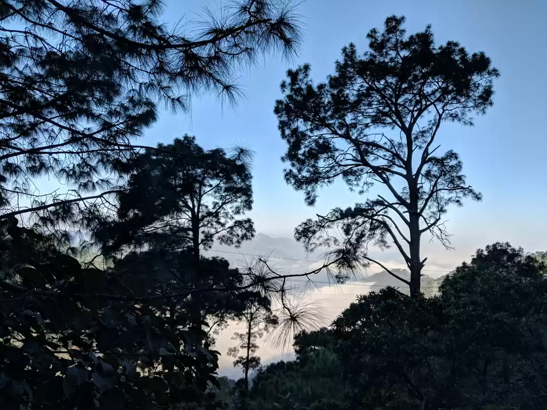 Photo of Exploring The Manali