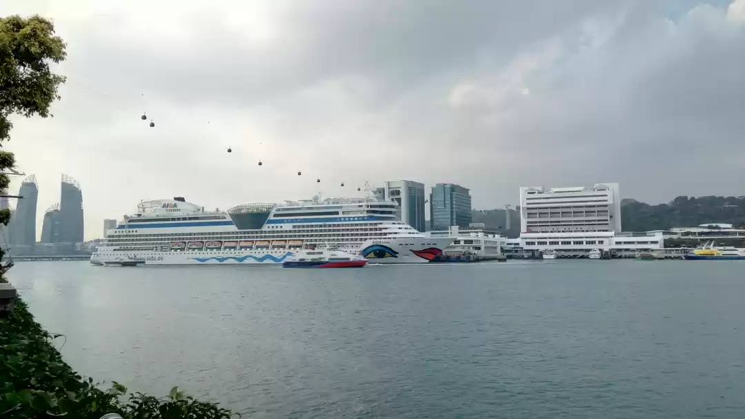 Photo of 7 Days Guide To Get 