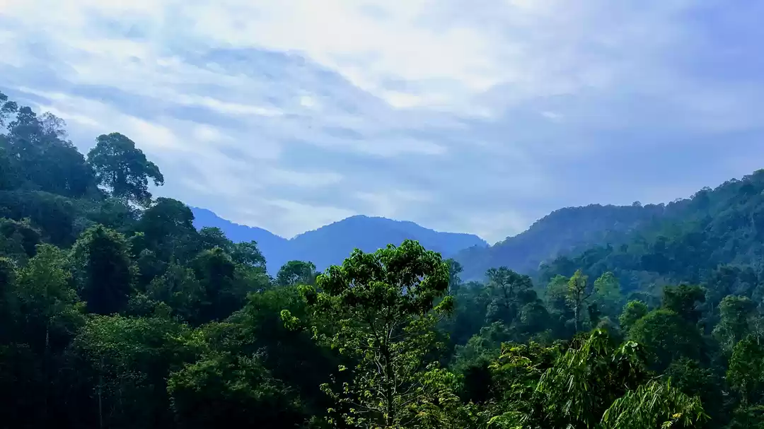 Photo of On the way to sabari