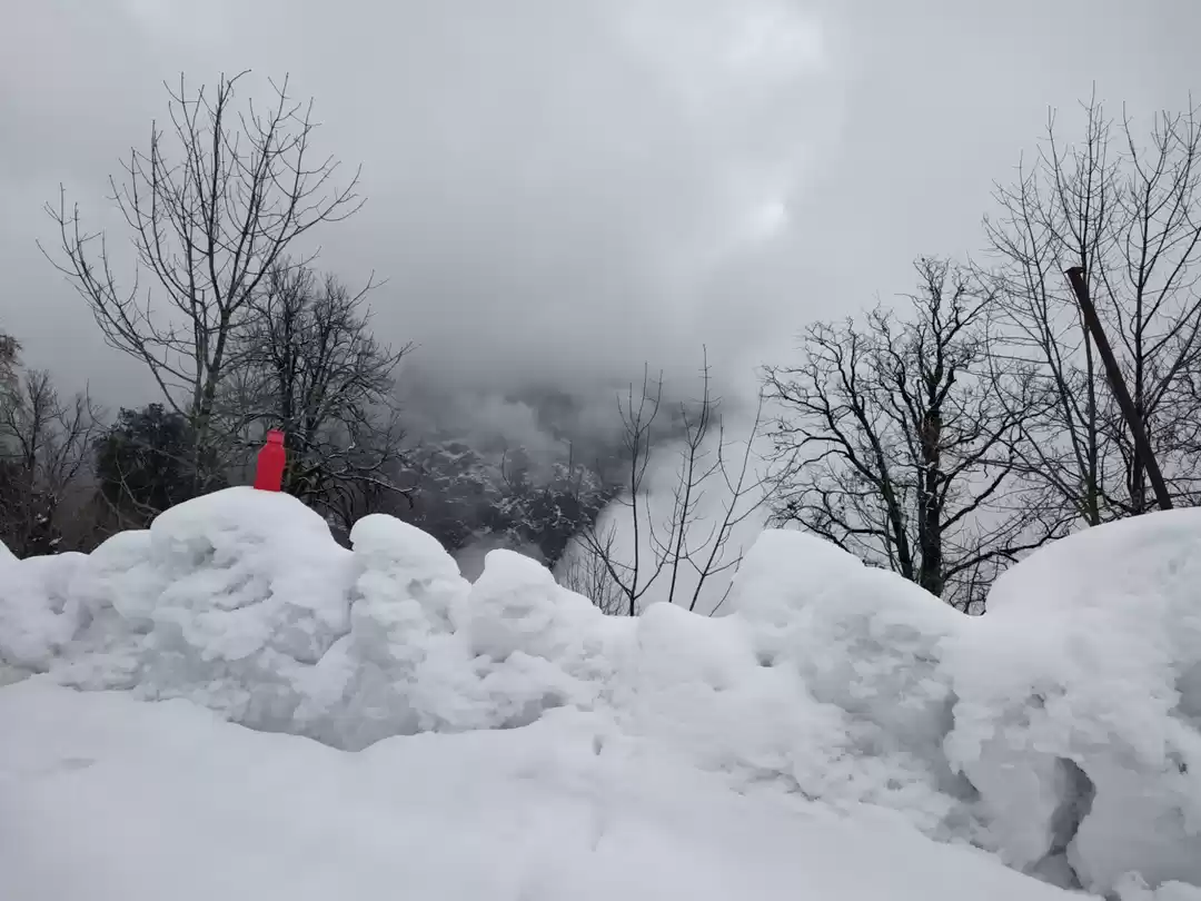 Chopta Chandrashila Trek