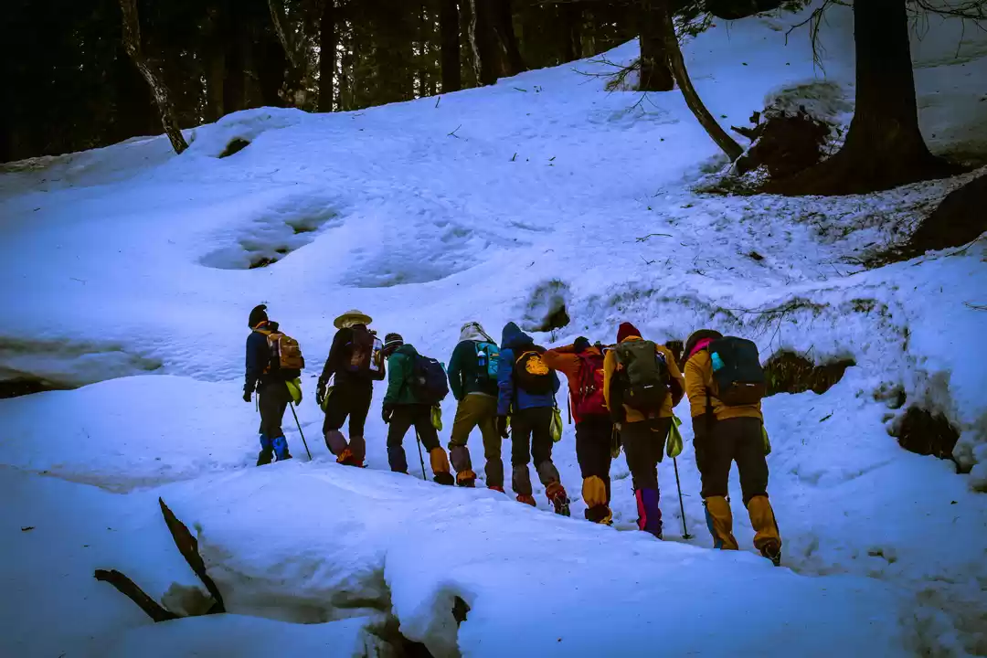 Photo of Kedarkantha Trek, Ut