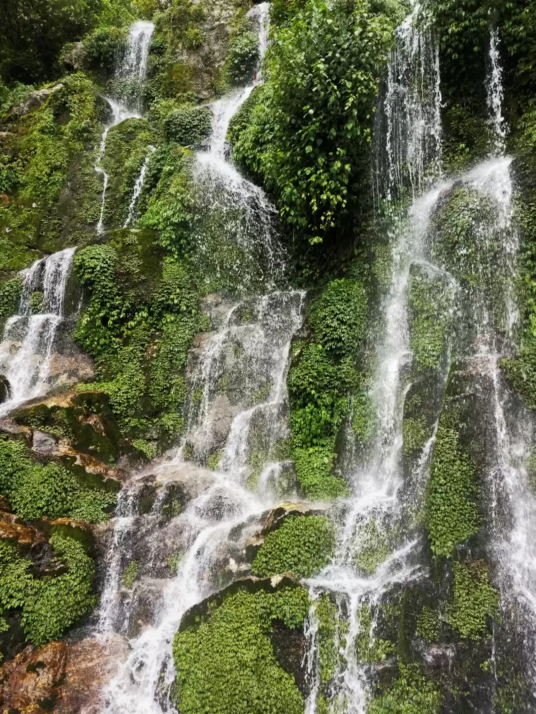Photo of Darjeeling - Gangtok