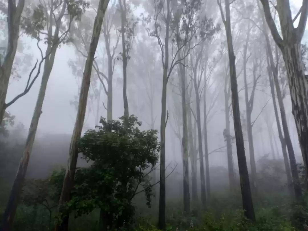 Photo of Nandi hills - Lepaks
