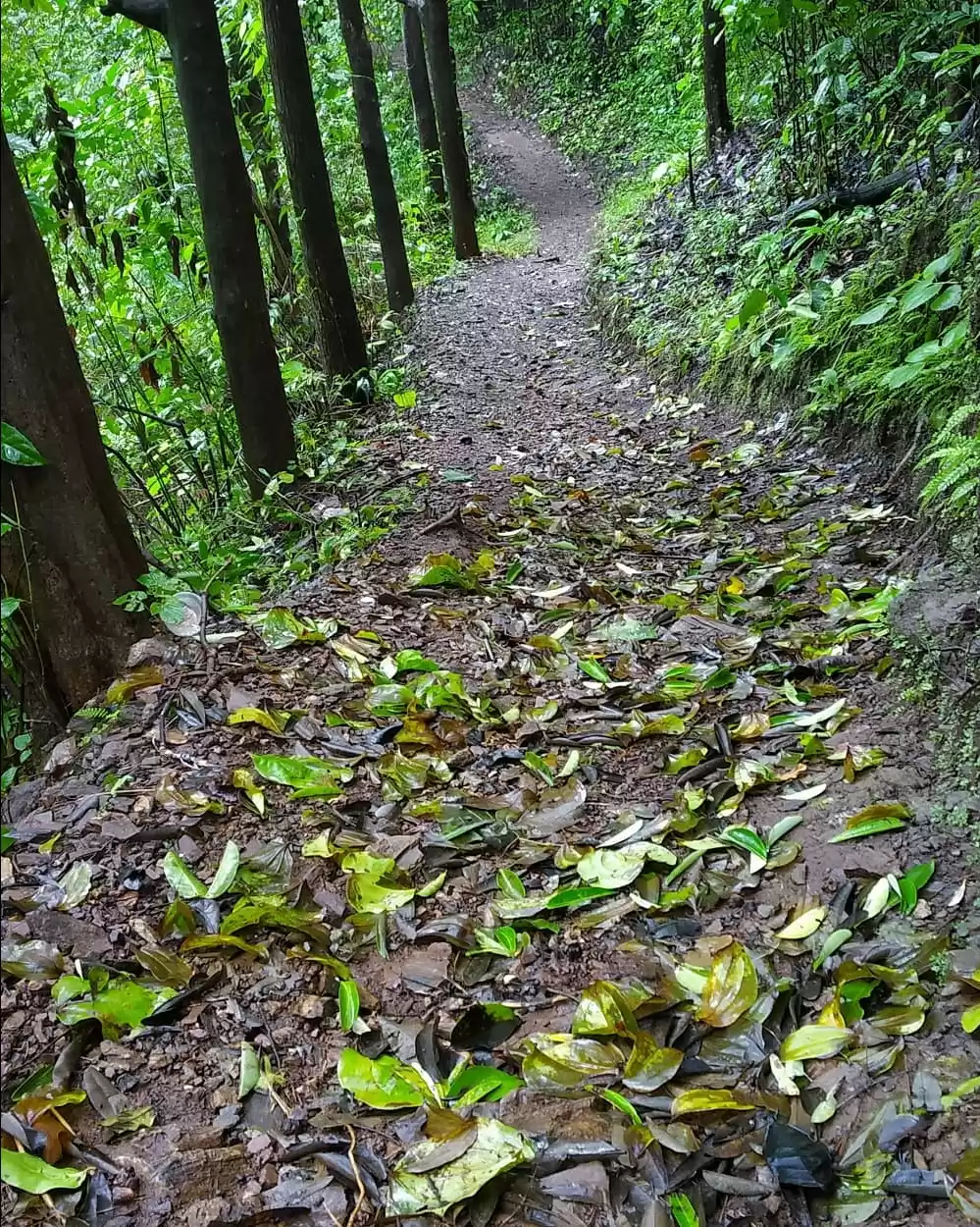 Photo of Way to Shirley water