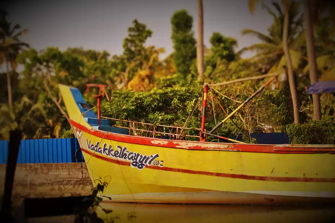 Photo of God's Own Country –