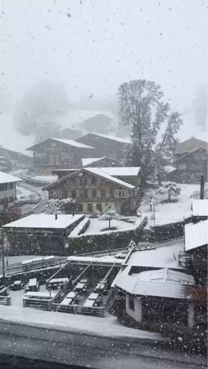 Photo of Lost in Paradise