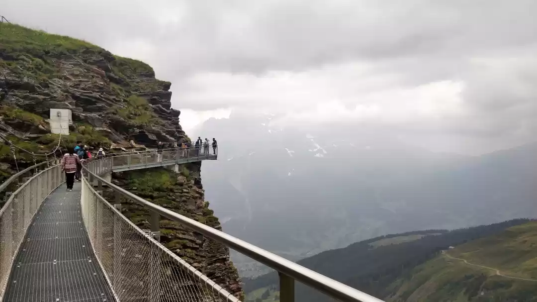 Photo of Mt. Grindelwald firs
