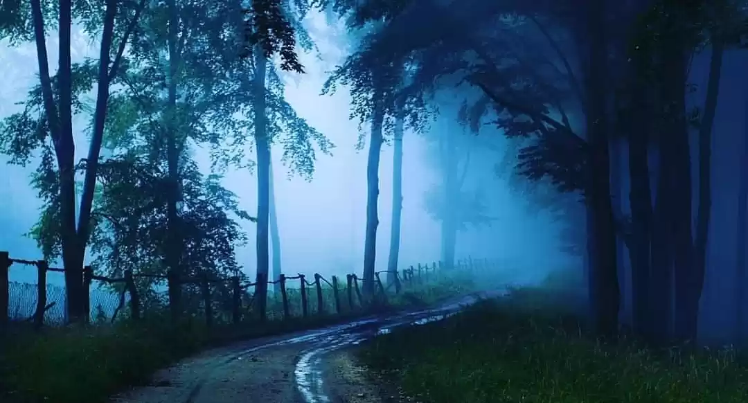 Photo of Araku Valley- Explor